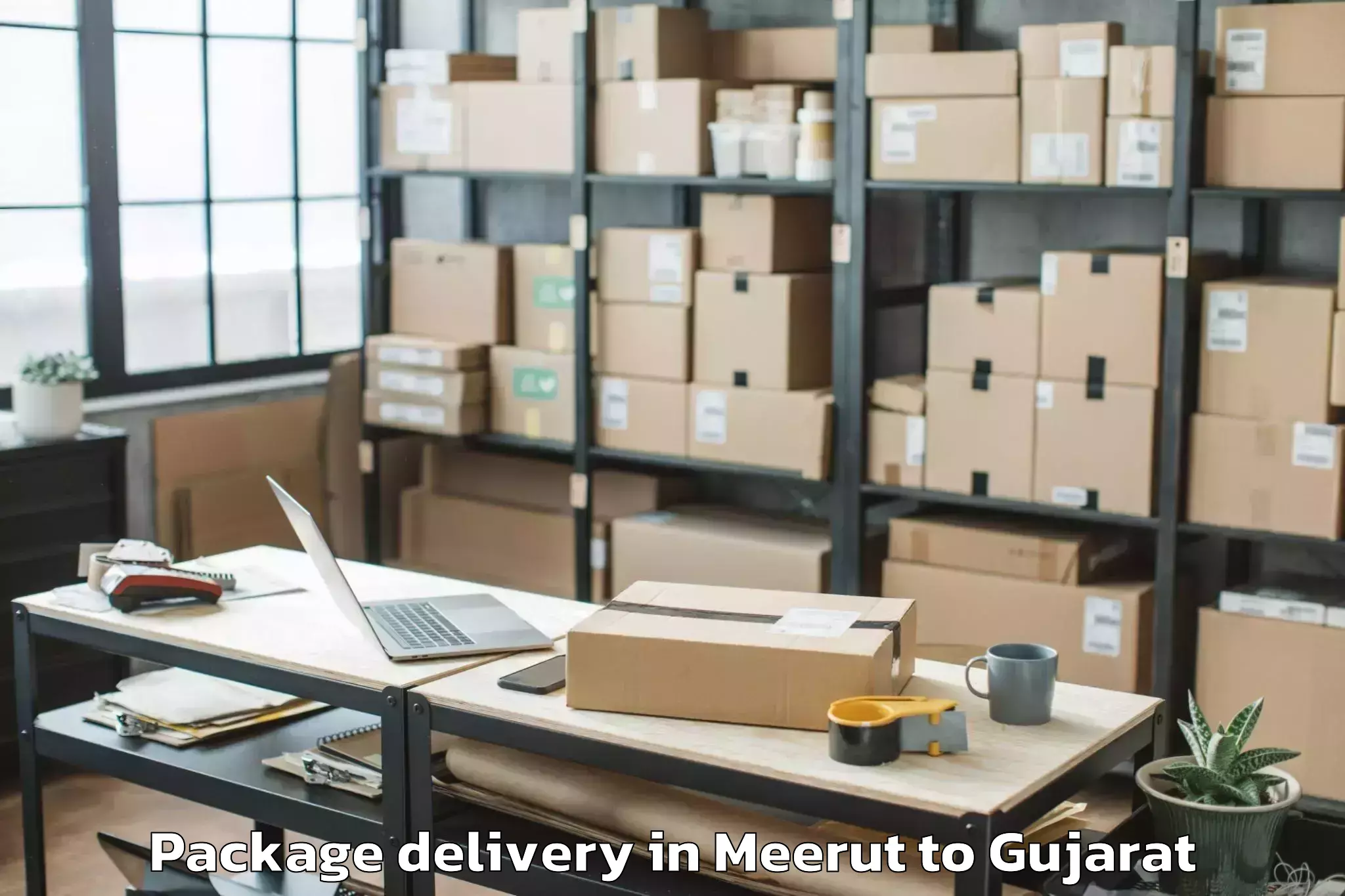 Easy Meerut to Amod Package Delivery Booking